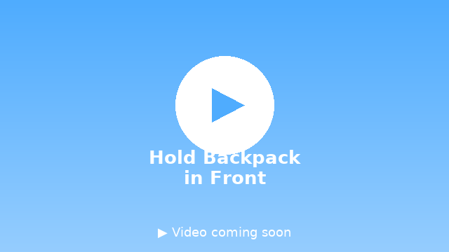 Video demo