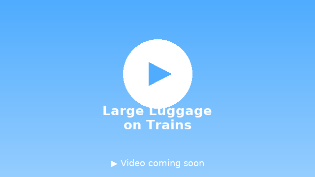 Video demo