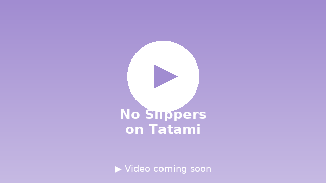 Video demo