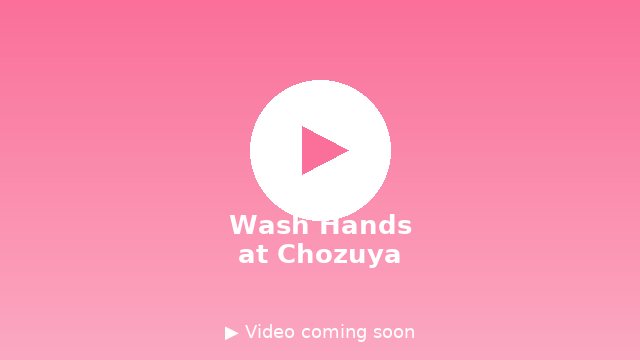 Video demo
